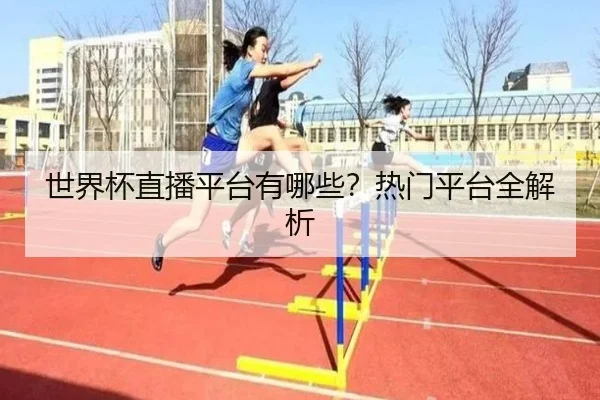 世界杯直播平台有哪些？热门平台全解析