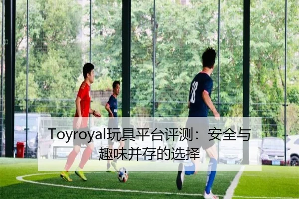 Toyroyal玩具平台评测：安全与趣味并存的选择