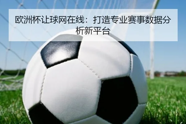 欧洲杯让球网在线：打造专业赛事数据分析新平台