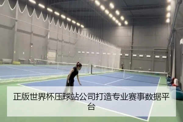 正版世界杯压球站公司打造专业赛事数据平台