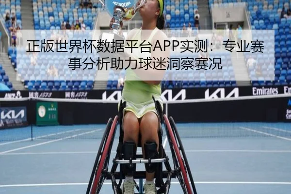 正版世界杯数据平台APP实测：专业赛事分析助力球迷洞察赛况